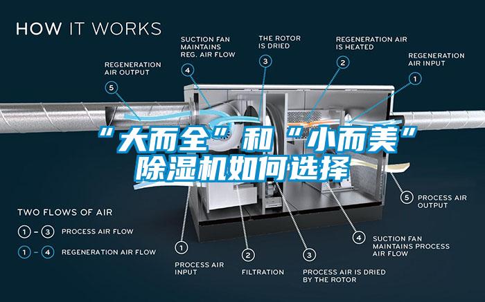 “大而全”和“小而美”草莓视频APP在线观看如何选择