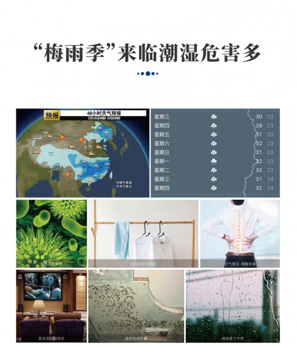 分析转轮草莓视频APP在线观看