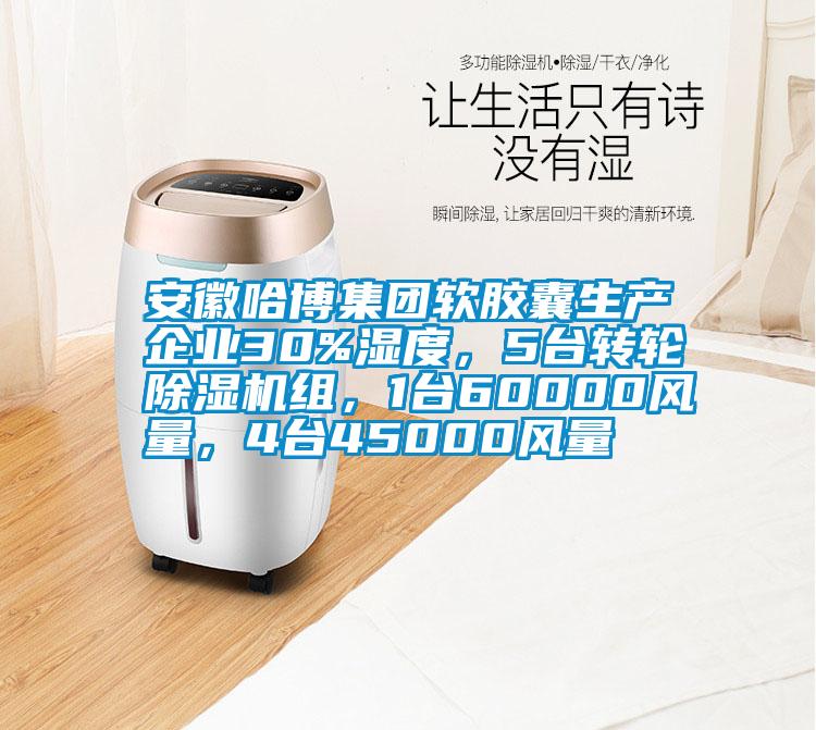 安徽哈博集团软胶囊生产企业30%湿度，5台转轮草莓视频APP在线观看组，1台60000风量，4台45000风量