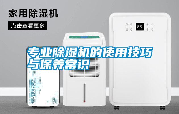 专业草莓视频APP在线观看的使用技巧与保养常识