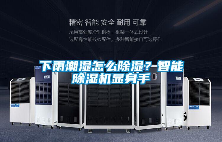 下雨潮湿怎么除湿？智能草莓视频APP在线观看显身手