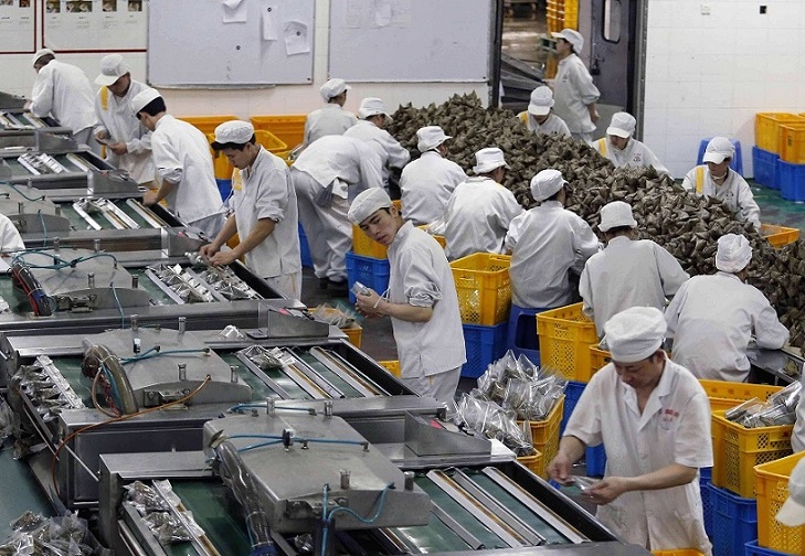 生产车间草莓视频APP在线观看.jpg