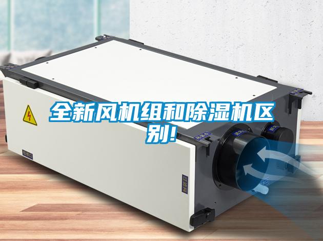 全新风机组和草莓视频APP在线观看区别!