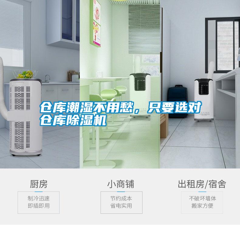 仓库潮湿不用愁，只要选对仓库草莓视频APP在线观看