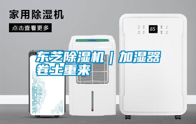 东芝草莓视频APP在线观看｜加湿器卷土重来