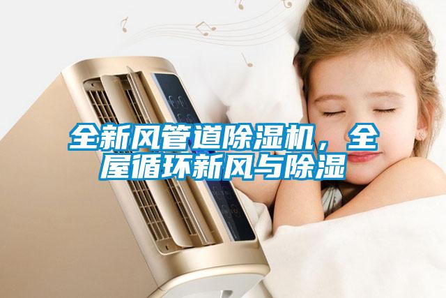 全新风管道草莓视频APP在线观看，全屋循环新风与除湿