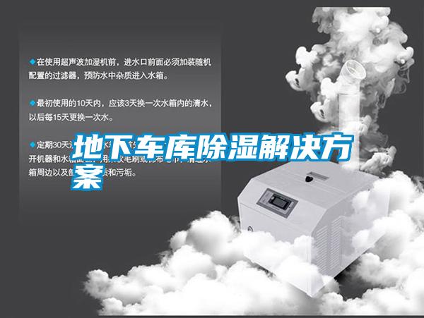 地下车库除湿草莓成人在线观看