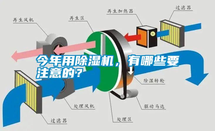 今年用草莓视频APP在线观看，有哪些要注意的？