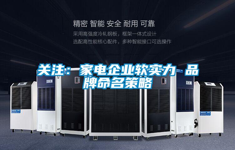 关注：家电企业软实力 品牌命名策略