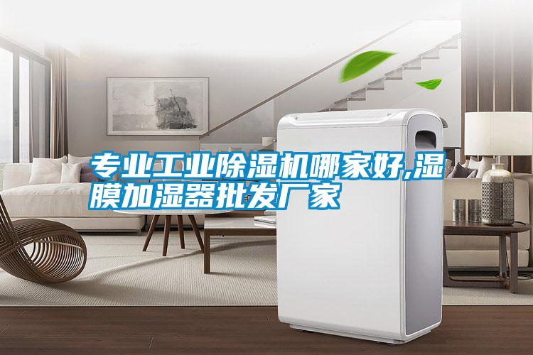 专业工业草莓视频APP在线观看哪家好,湿膜加湿器批发厂家