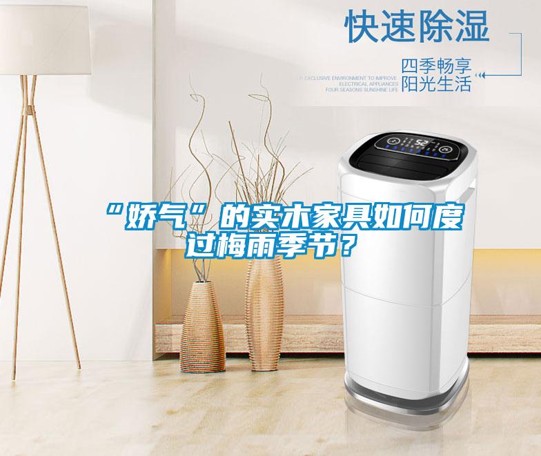 “娇气”的实木家具如何度过梅雨季节？