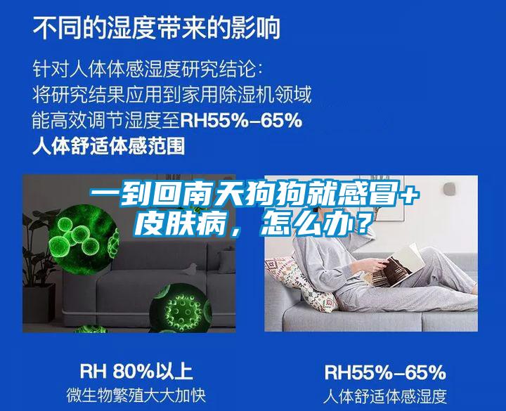 一到回南天狗狗就感冒+皮肤病，怎么办？
