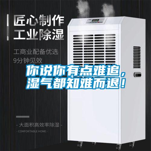 你说你有点难追，湿气都知难而退！