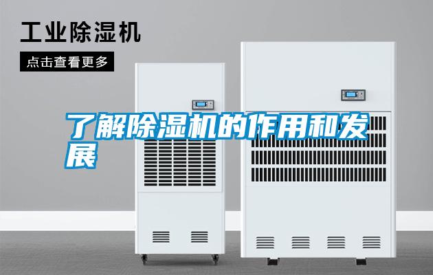了解草莓视频APP在线观看的作用和发展