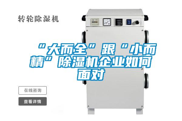 “大而全”跟“小而精”草莓视频APP在线观看企业如何面对