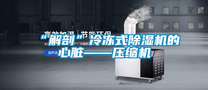 “解剖”冷冻式草莓视频APP在线观看的心脏——压缩机