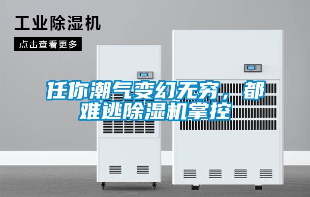 任你潮气变幻无穷，都难逃草莓视频APP在线观看掌控