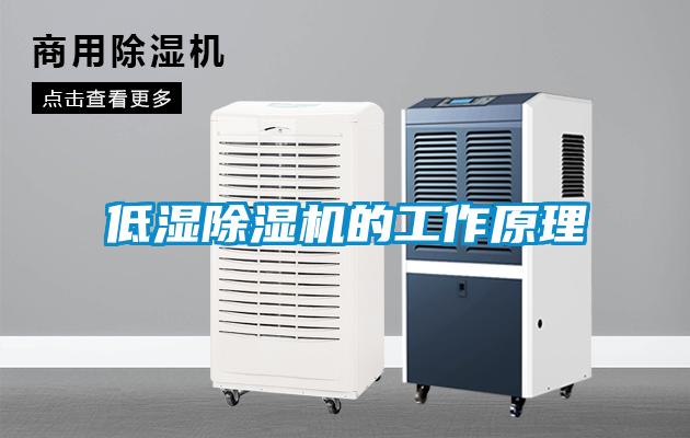 低湿草莓视频APP在线观看的工作原理