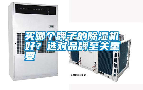 买哪个牌子的草莓视频APP在线观看好？选对品牌至关重要