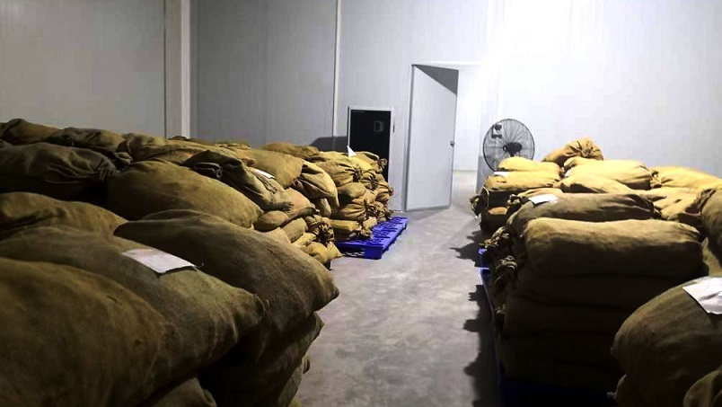 仓库草莓视频APP在线观看在陈皮储存过程中的应用