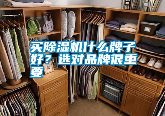 买草莓视频APP在线观看什么牌子好？选对品牌很重要