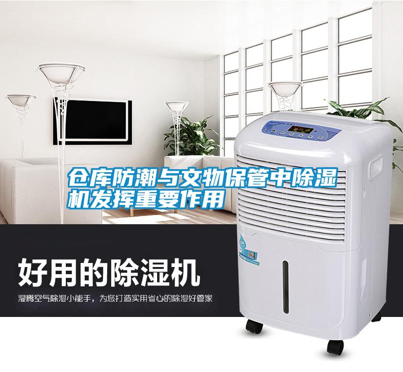 仓库防潮与文物保管中草莓视频APP在线观看发挥重要作用