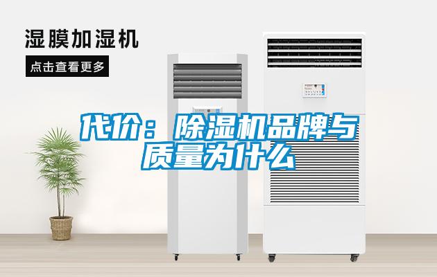 代价：草莓视频APP在线观看品牌与质量为什么