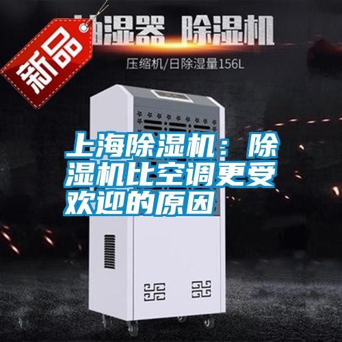上海草莓视频APP在线观看：草莓视频APP在线观看比空调更受欢迎的原因