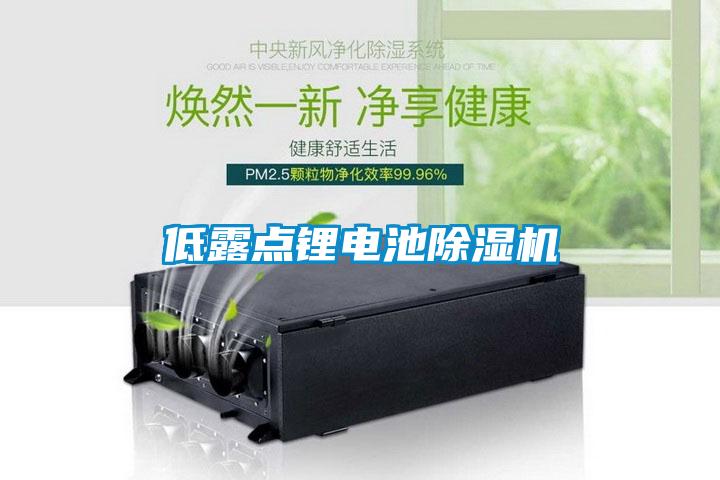 低露点锂电池草莓视频APP在线观看