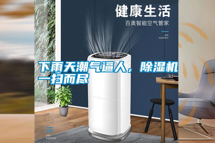 下雨天潮气逼人，草莓视频APP在线观看一扫而尽