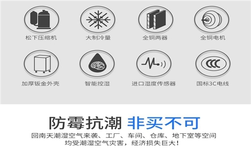 为什么房子潮湿会有危害？