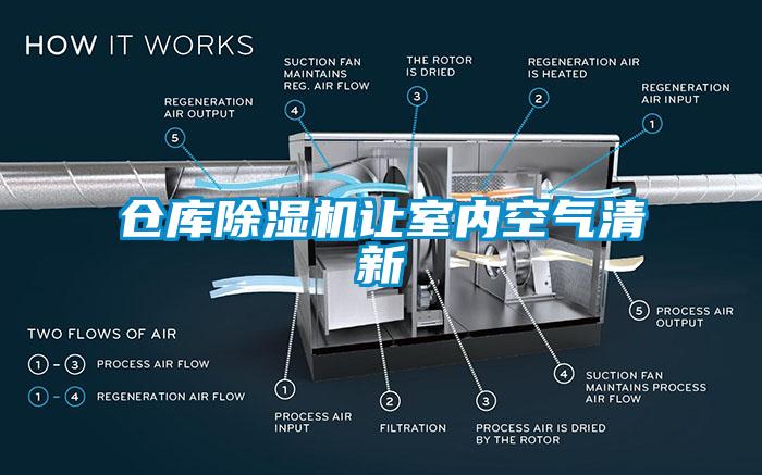 仓库草莓视频APP在线观看让室内空气清新
