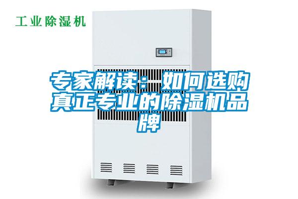 专家解读：如何选购真正专业的草莓视频APP在线观看品牌