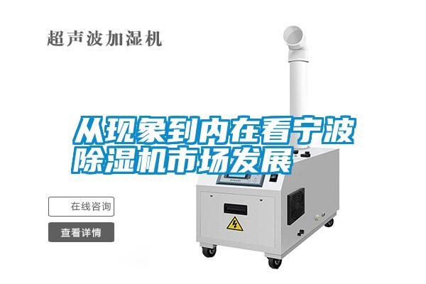 从现象到内在看宁波草莓视频APP在线观看市场发展