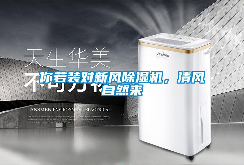 你若装对新风草莓视频APP在线观看，清风自然来