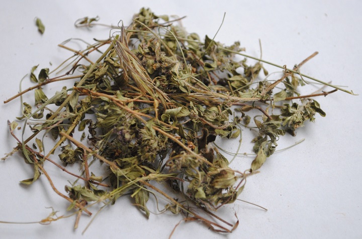 草莓视频污污版烘干机
