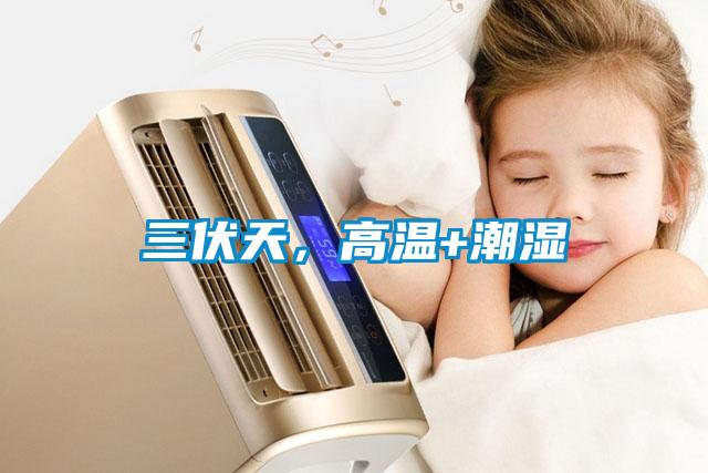 三伏天，高温+潮湿