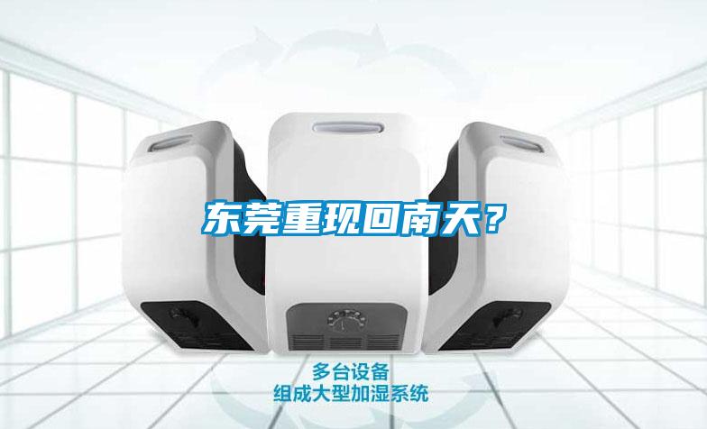 东莞重现回南天？
