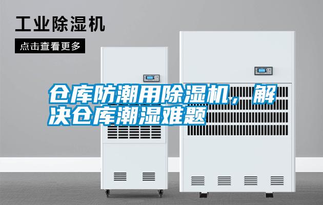 仓库防潮用草莓视频APP在线观看，解决仓库潮湿难题
