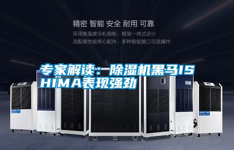 专家解读：草莓视频APP在线观看黑马ISHIMA表现强劲