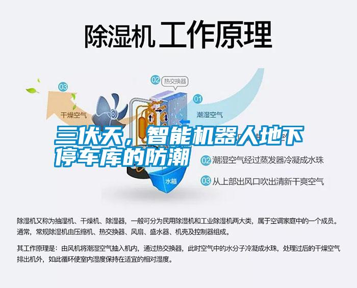 三伏天，智能机器人地下停车库的防潮