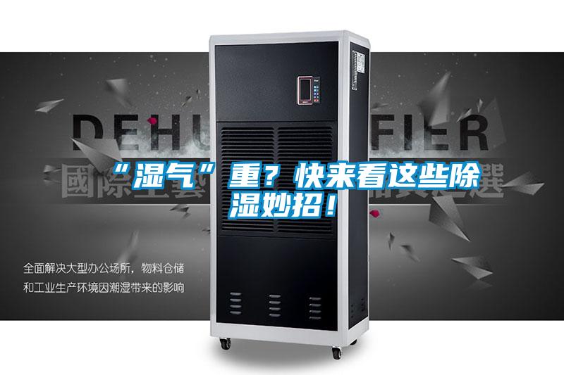“湿气”重？快来看这些除湿妙招！