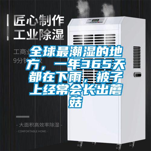 全球最潮湿的地方，一年365天都在下雨，被子上经常会长出蘑菇
