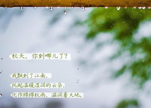 草莓视频APP在线观看