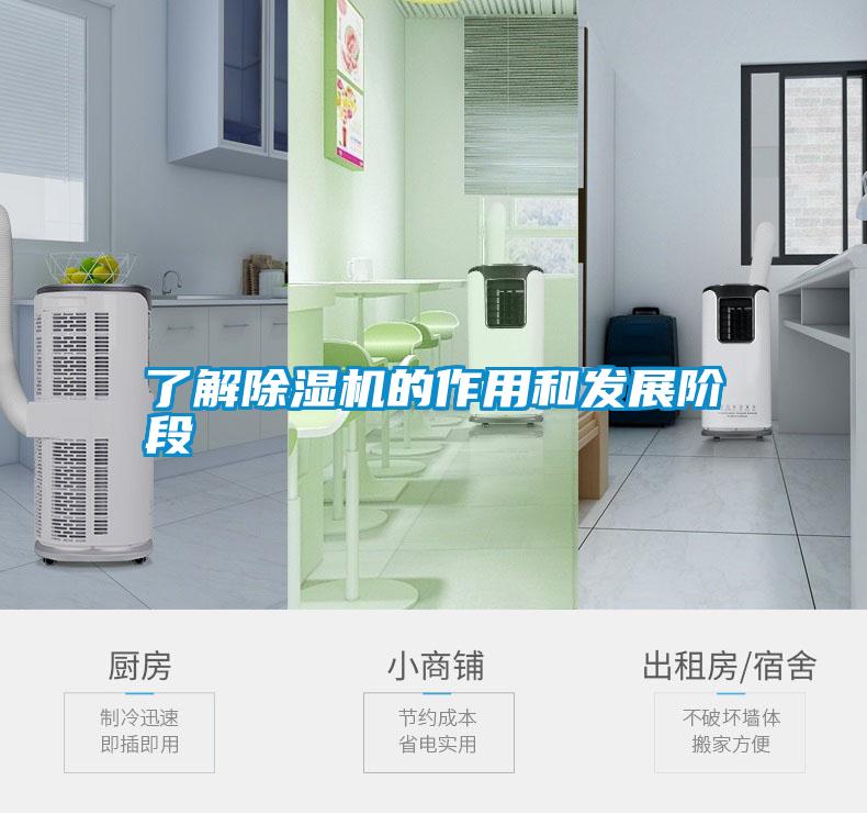 了解草莓视频APP在线观看的作用和发展阶段
