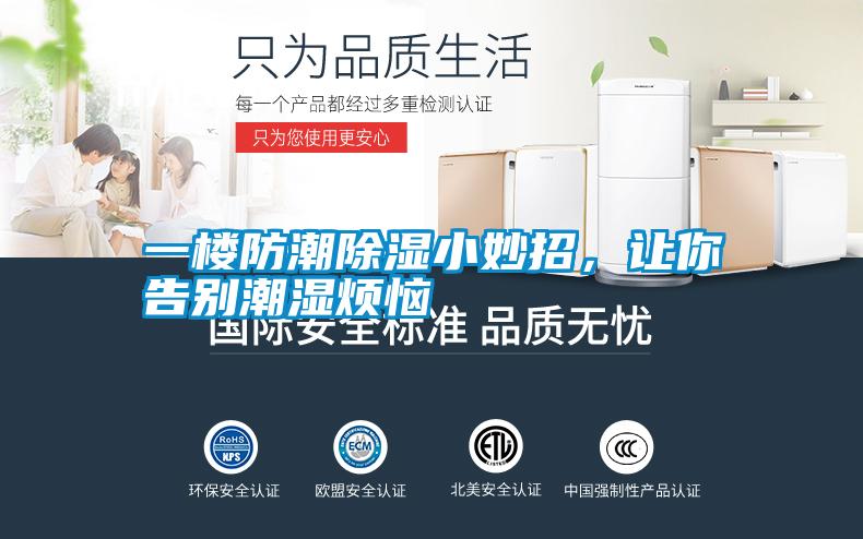一楼防潮除湿小妙招，让你告别潮湿烦恼