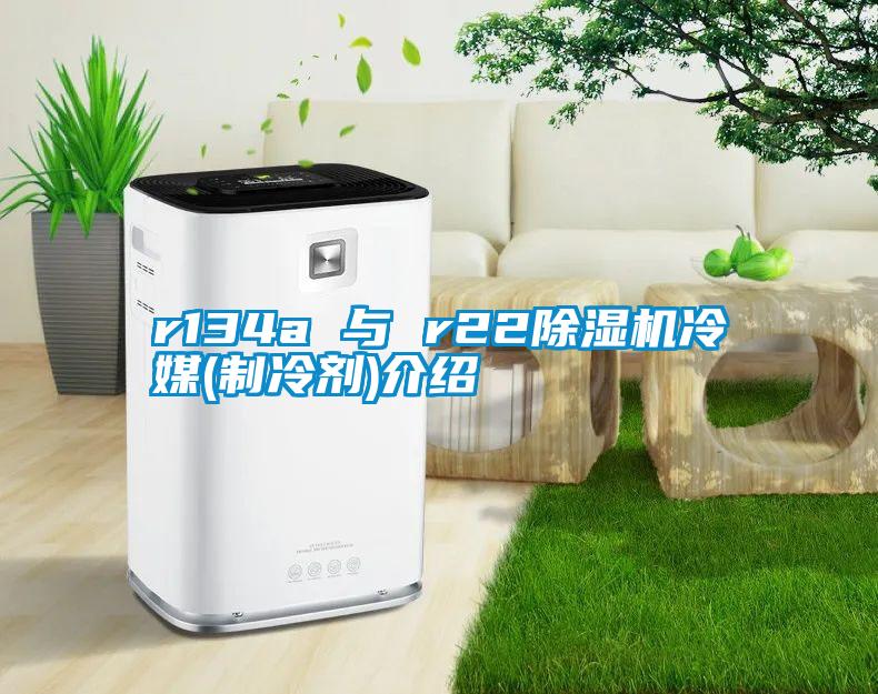 r134a 与 r22草莓视频APP在线观看冷媒(制冷剂)介绍