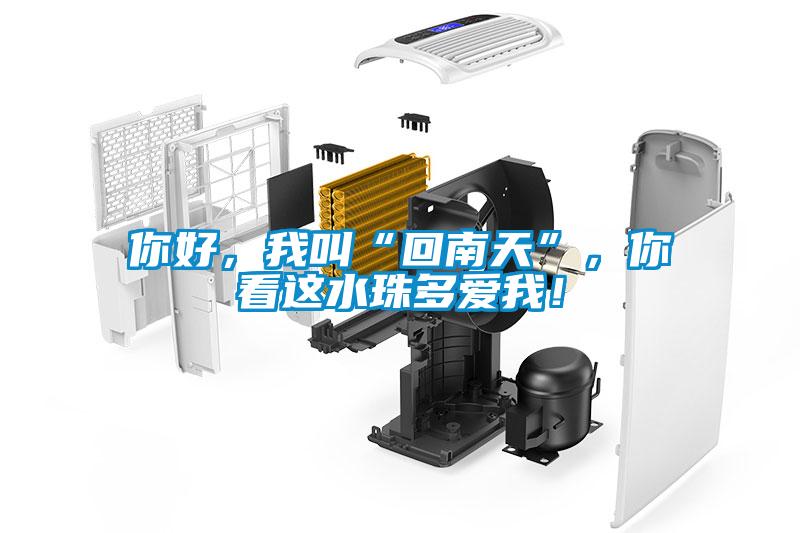 你好，我叫“回南天”，你看这水珠多爱我！