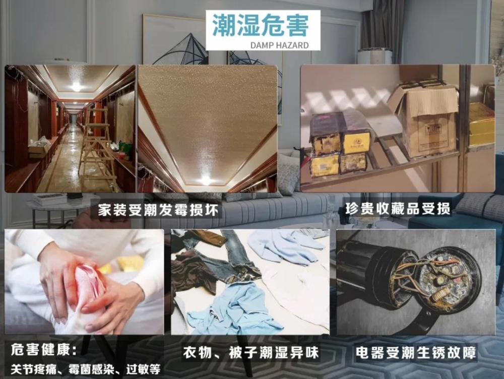 草莓视频APP在线观看