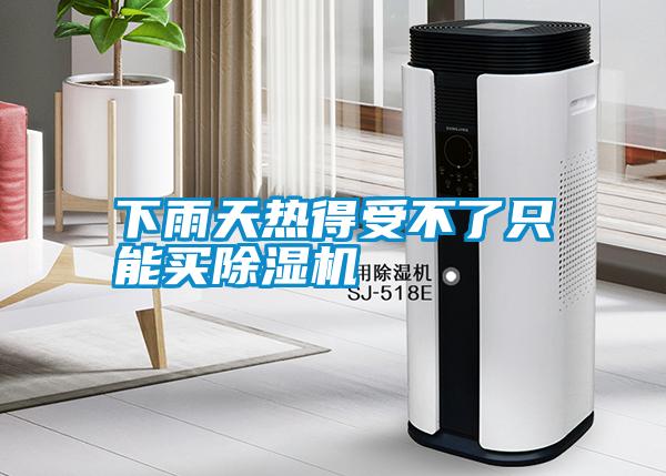 下雨天热得受不了只能买草莓视频APP在线观看